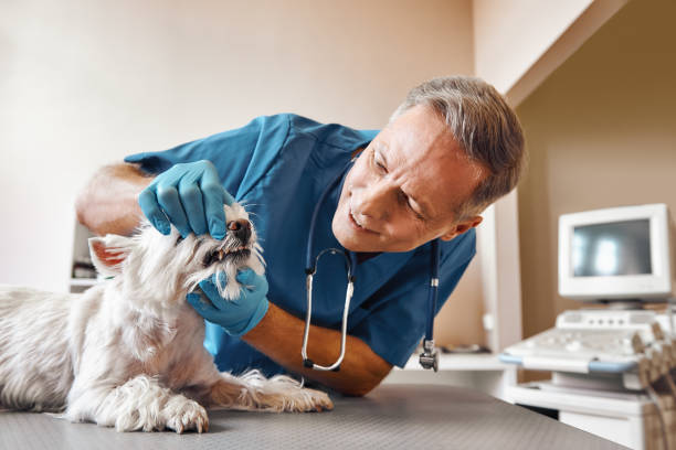 Best Emergency Broken Tooth Repair in Winchester, KY